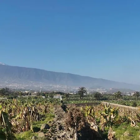 Araguaney, Finca Jardin Del Rincon