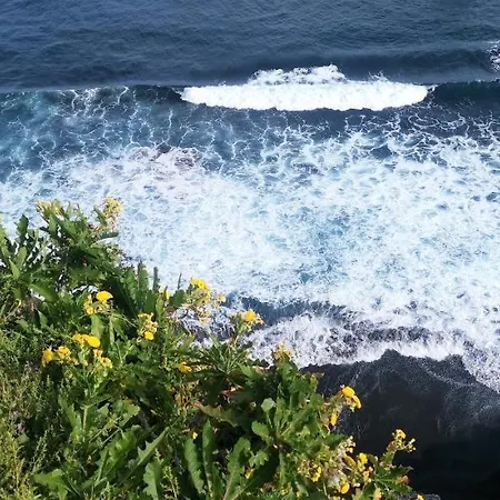 Araguaney, Finca Jardin Del Rincon Апартаменты