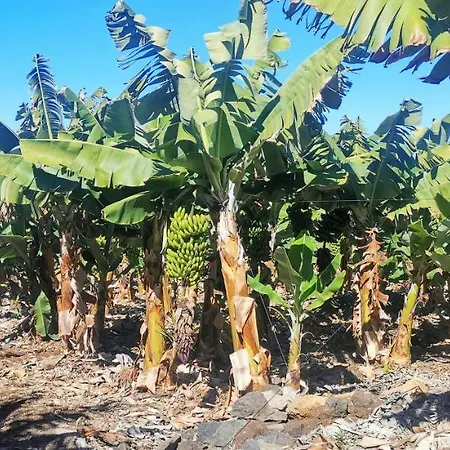 Apartmán Araguaney, Finca Jardin Del Rincon *